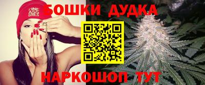 a pvp Пенза