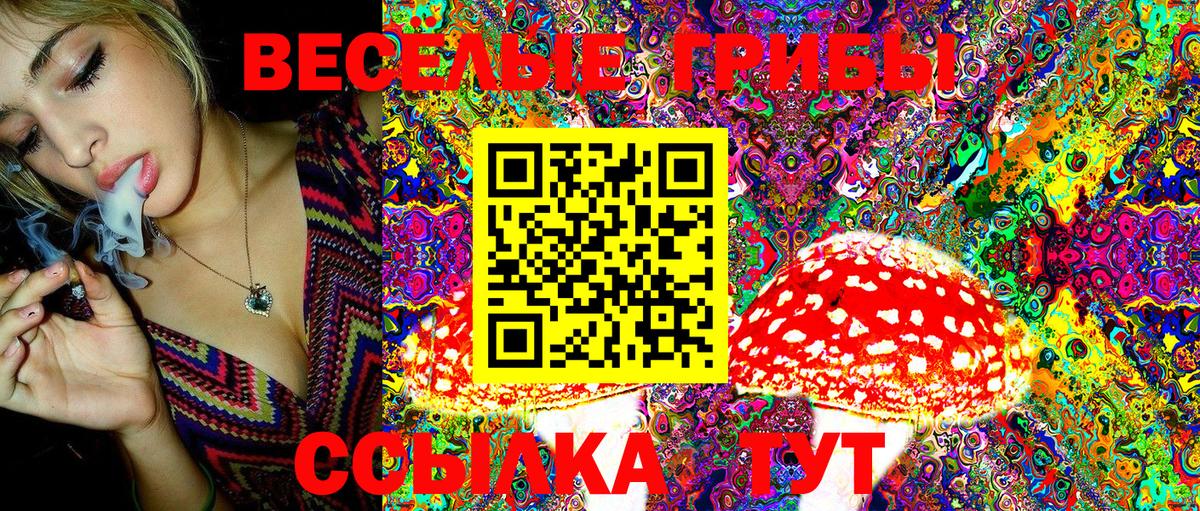 Великий Новгород  Галлюциногенные грибы Psilocybine cubensis  Вход с VPN  купить наркотики цена  Псилоцибиновые грибы мицелий 