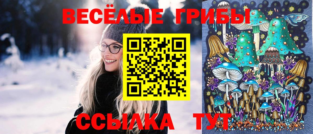 Псилоцибиновые грибы GOLDEN TEACHER Великий Новгород